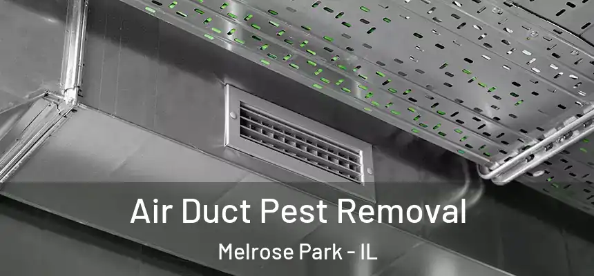  Air Duct Pest Removal Melrose Park - IL