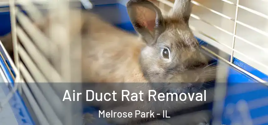  Air Duct Rat Removal Melrose Park - IL