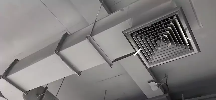 Restorative Allergy Relief Vent Cleaning – Coil, Blower & Housing Detail in Melrose Park