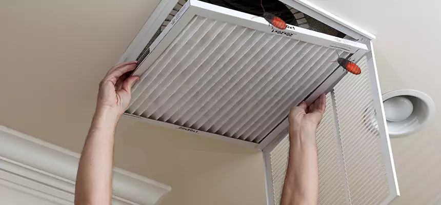 Our Insect Removal from Air Ducts Services in Melrose Park, IL