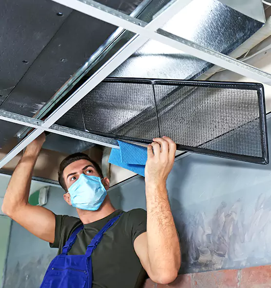 About Air Duct Bacteria Removal in Melrose Park