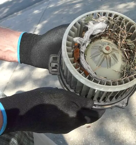 About Air Duct Rat Removal in Melrose Park, IL