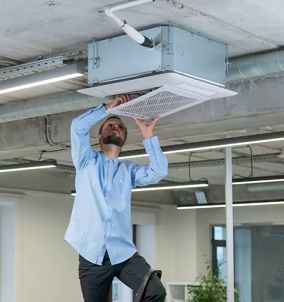 Advanced Rodent Droppings In Vents in Melrose Park, IL