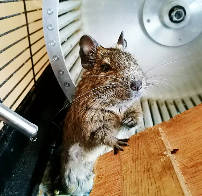 Why Homeowners & Businesses Trust Us Melrose Park, IL?