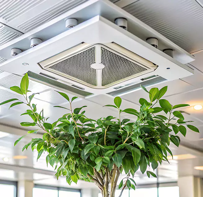 Why Homeowners & Businesses Trust Us in Melrose Park, IL?