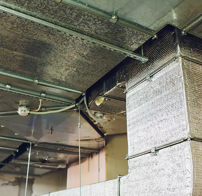 Why Homeowners & Businesses Trust Us in Melrose Park, IL?