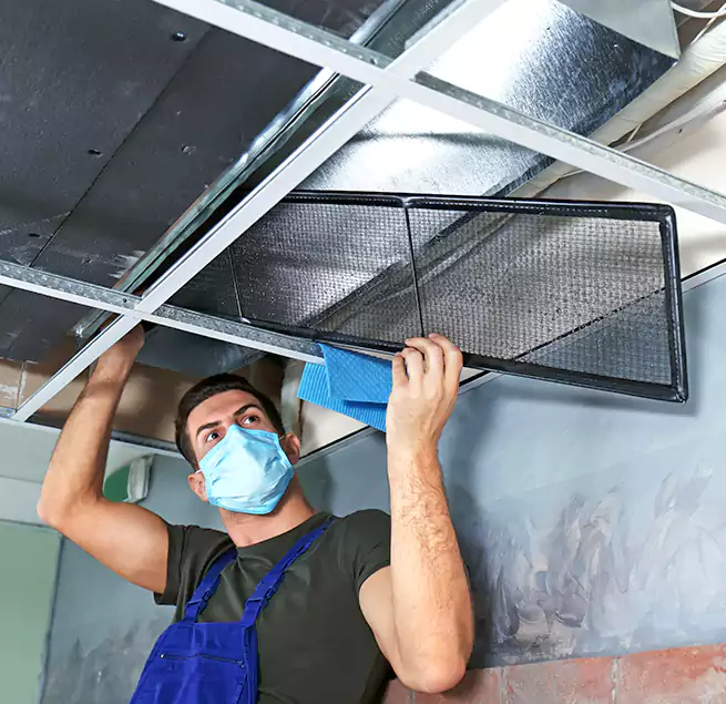 Why Homeowners Businesses Trust Us in Melrose Park, IL